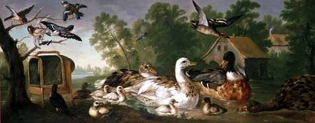 Ducks and Birds in a landscape van Pieter Casteels