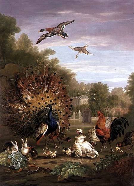 Peacock and Rabbits in a Landscape van Pieter Casteels