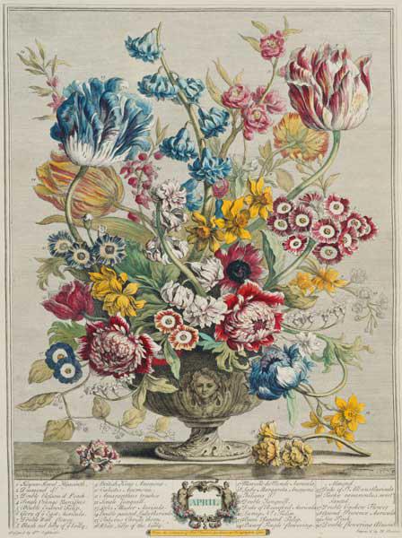 April, from 'Twelve Months of Flowers', by Robert Furber (c.1674-1756), engraved by Henry Fletcher (