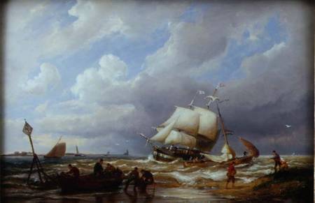 Pampas on the Zuider Zee van Pieter Cornelis Dommerson