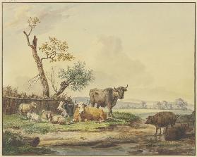 Bei einem Zaun Vieh auf der Weide, rechts zwei Schweine