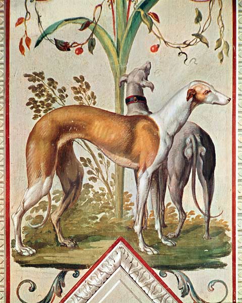 Two Greyhounds van Pietro Rotati