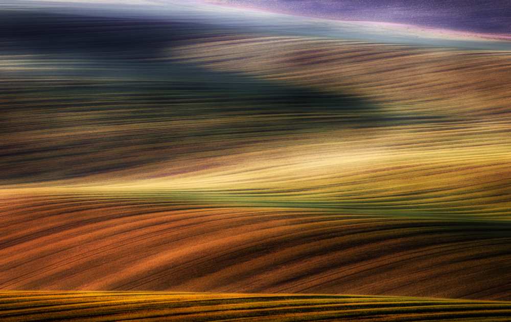 autumn fields van Piotr Krol (Bax)