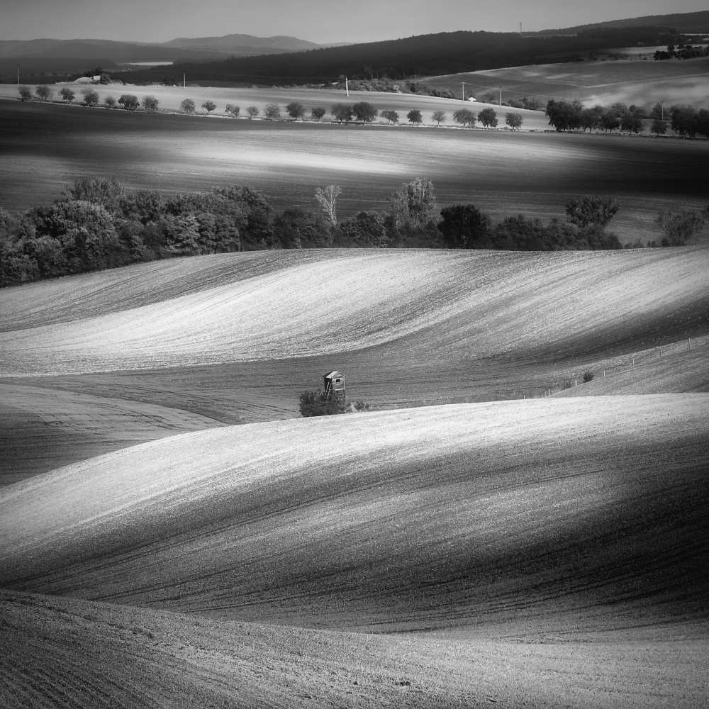 Moravian fields van Piotr Krol (Bax)