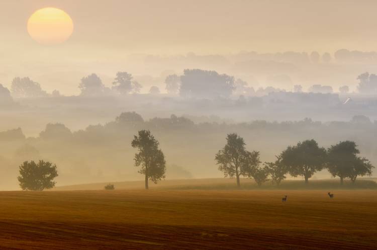 morning view van Piotr Krol (Bax)