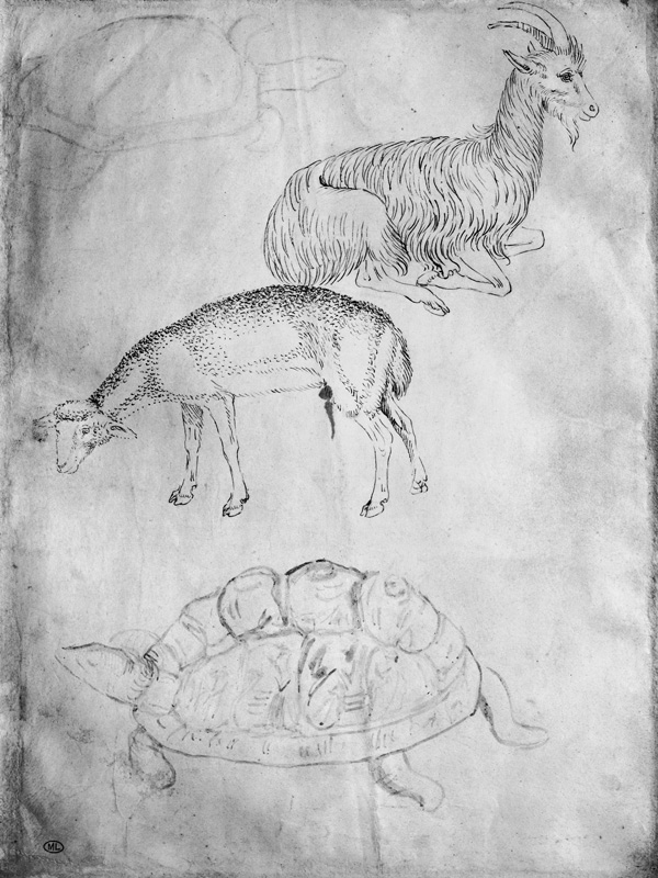 Two tortoises, goat and sheep, from the The Vallardi Album van Pisanello