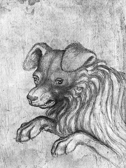Head of a dog, from the The Vallardi Album van Pisanello