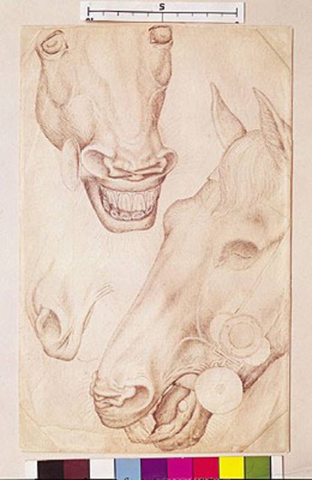 Heads of Horses (pen & ink on paper) van Pisanello