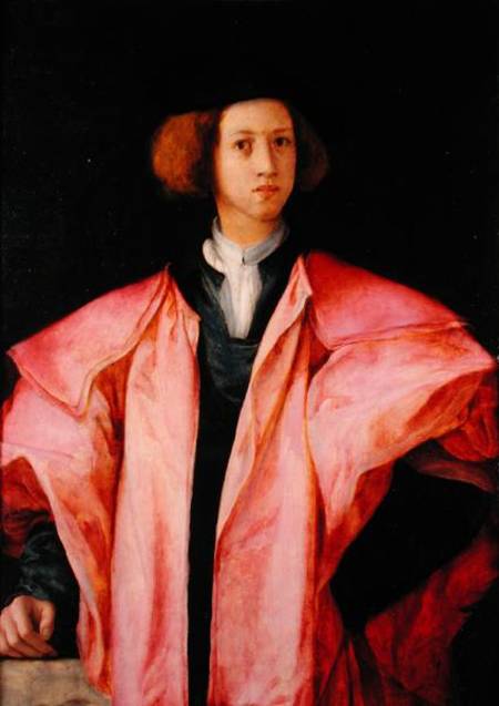 Portrait of a Young Man van Pontormo,Jacopo Carucci da