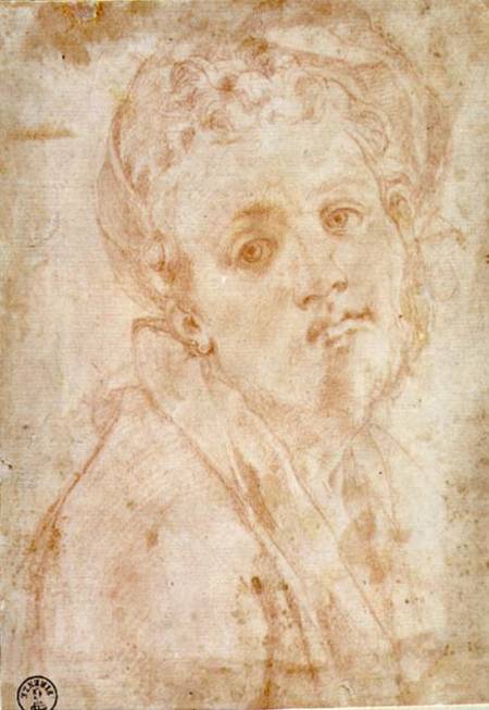 Self Portrait van Pontormo,Jacopo Carucci da