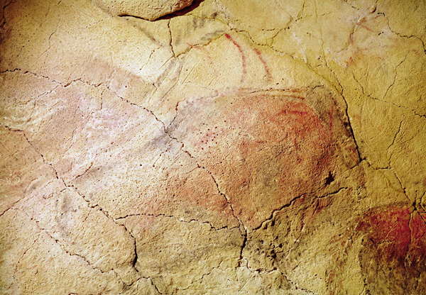 Bison, from the Caves at Altamira van Prehistoric