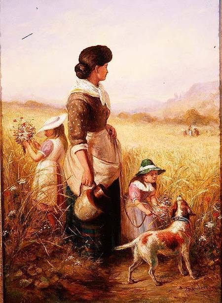 Playing in the Fields van R. Saunderson-Cathering