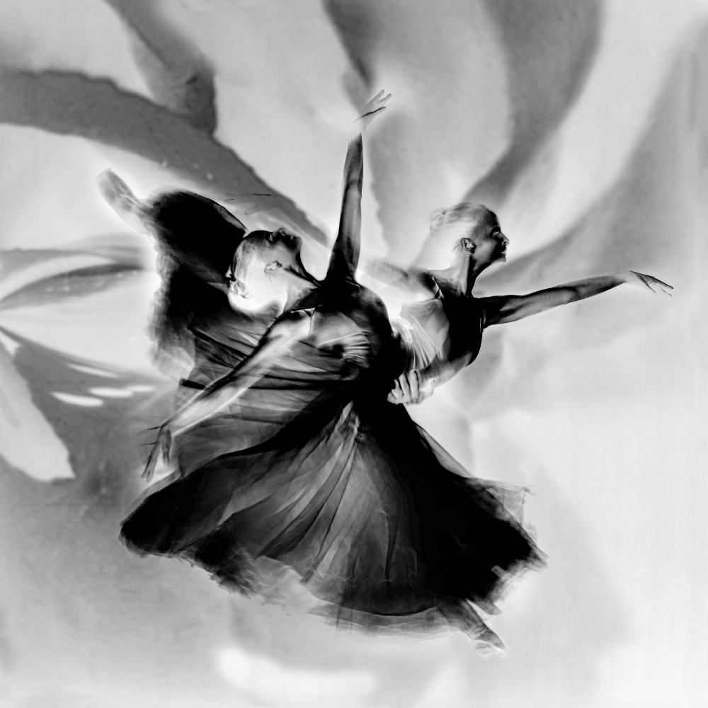 Dance in black and white van Rachel Pansky