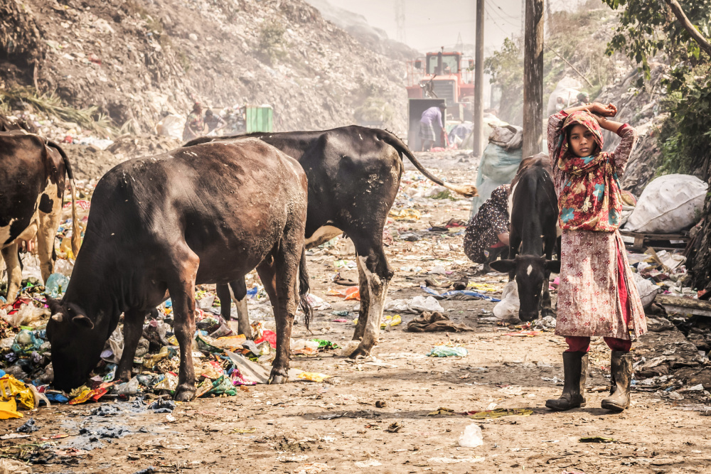 Cittagong garbage field van Radana Kucharova