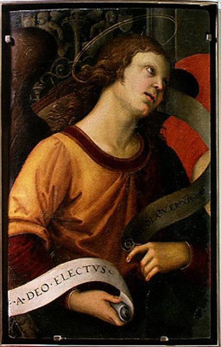 Angel, from the polyptych of St. Nicolas of Tolentino van (Raffael) Raffaello Santi