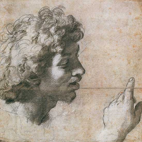 Studies of a Man's Head and Hand van (Raffael) Raffaello Santi