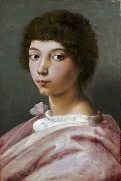 Porträt eines jungen Mannes van (Raffael) Raffaello Santi
