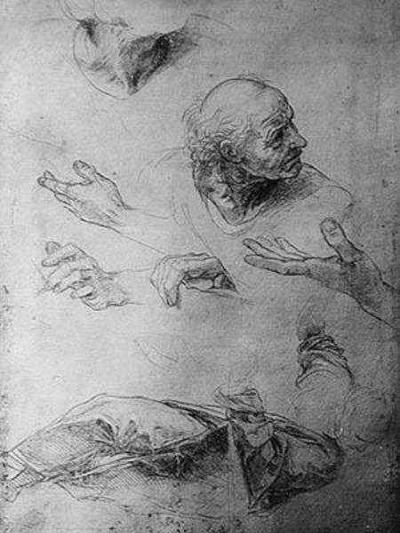 Studies for the Figure of Bramante (1444-1515) van (Raffael) Raffaello Santi