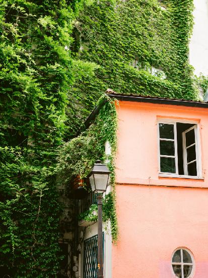 Green and Pink || Montmartre Paris