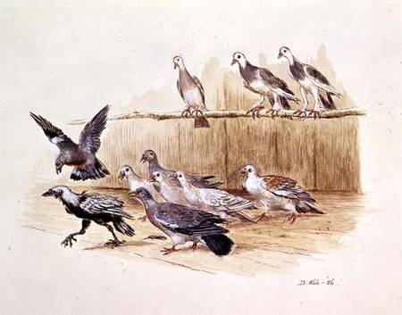 The Jackdaw and the Doves (sketch) van Randolph Caldecott
