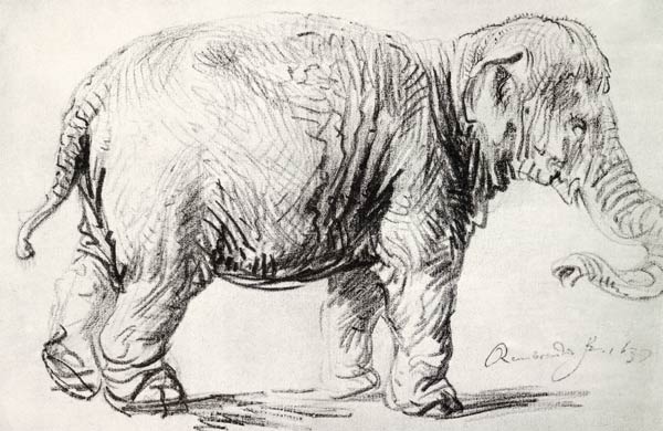 Een olifant van Rembrandt van Rijn