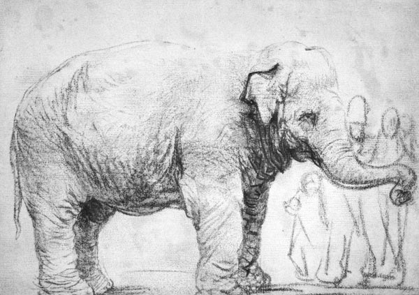 Een olifant  van Rembrandt van Rijn
