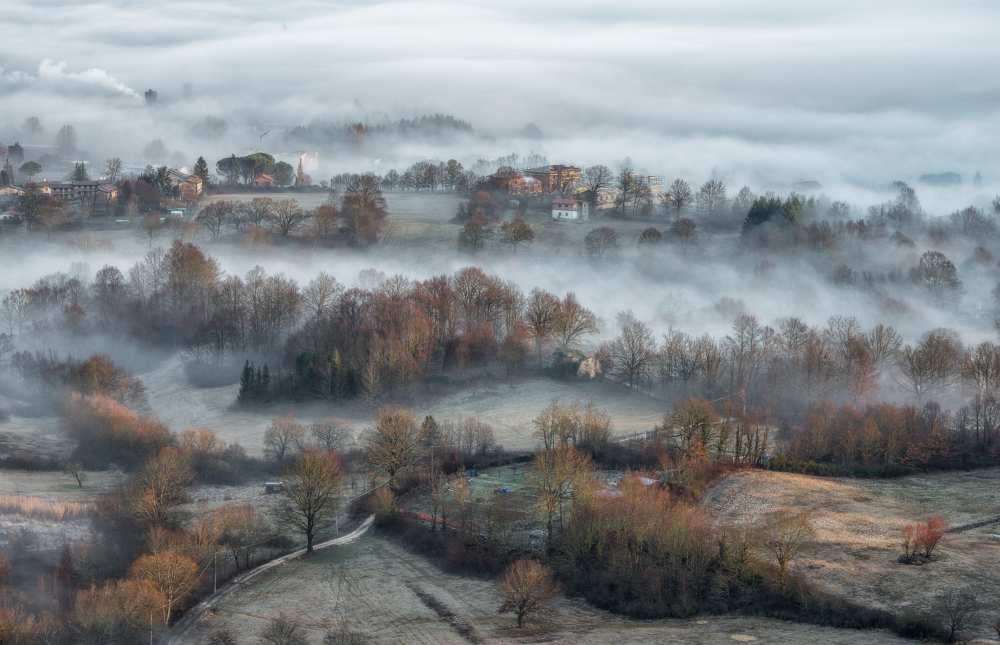 misty fields van Riccardo Lucidi