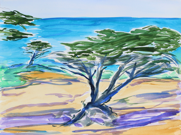 Cypress Tree, Carmel Bay van Richard Fox