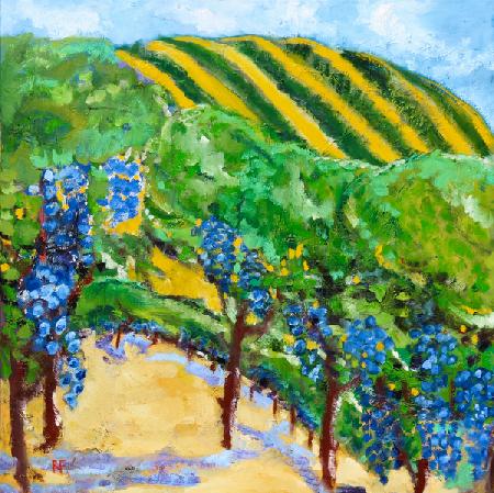 Vineyard and Rolling Hills