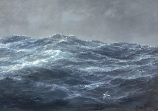 The Gull''s Way (oil on canvas)  van Richard  Willis