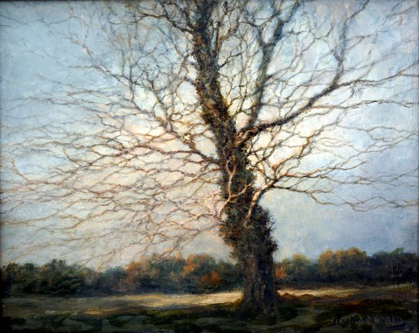 Sunlit Tree van Richard  Willis
