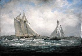Two Classics: ''Aello Beta'' and ''Marigold'' off the Isle of Wight, 2005 (oil on canvas) 