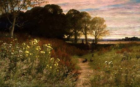 Landscape with Wild Flowers and Rabbits van Robert Collinson