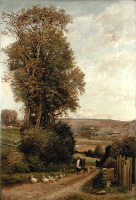 The Vale of Rothbury van Robert Jobling