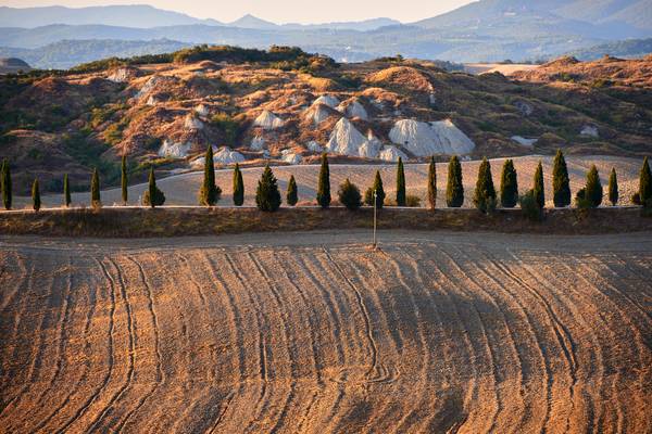 Landschaft in der Toskana mit Zypressenreihe van Robert Kalb