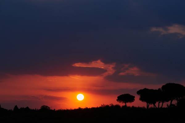Sonnenaufgang über einer Umbrische Landschaft mit Pinien van Robert Kalb