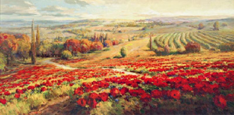 Red Poppy Panorama van Robert Lombardi