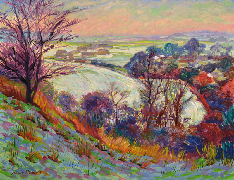 The Downs in Winter  van Robert  Tyndall