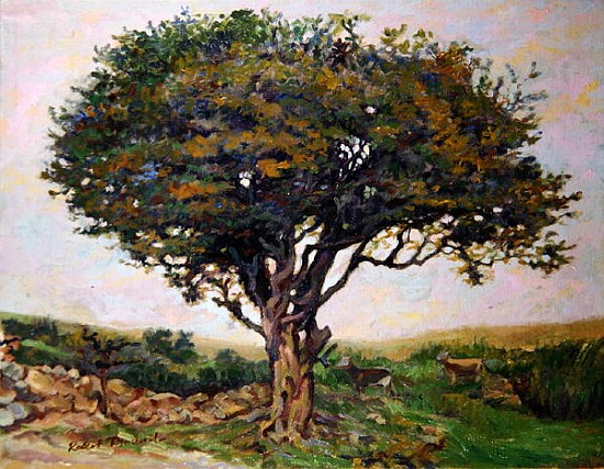 The Tree, Anglesey  van Robert  Tyndall