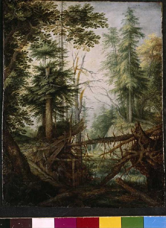 Waldlandschaft mit Eremit van Roelant Jakobsz Savery