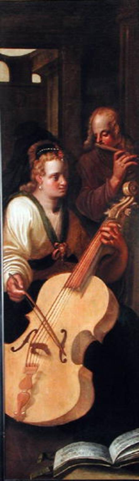 Cellist van Roelof van Zyll