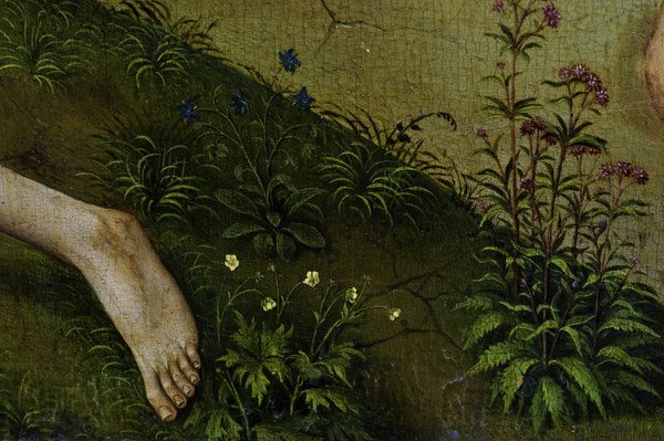 R.v.d. Weyden, Plants and flowers van Rogier van der Weyden