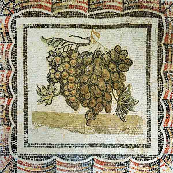 Bunch of white grapes, Roman mosaic (mosaic) van Roman