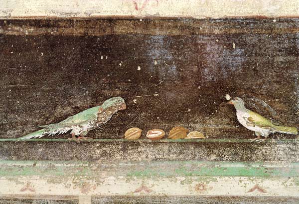 Birds eating nuts, detail from a tablinium decorated with Egyptian-style paintings van Roman