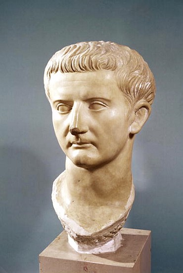 Head of the Emperor Tiberius (42 BC-37 AD) (marble) van Roman