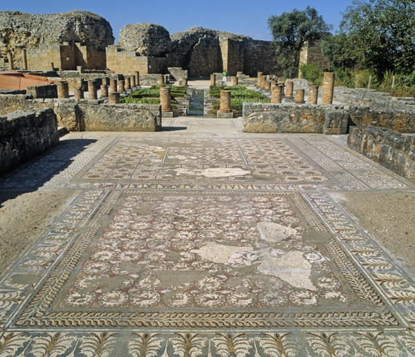 View of the ruins and a mosaic floor (photo)  van Roman