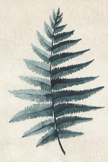 Teal watercolor fern 5