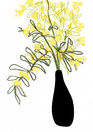 Yellow blooms in a vase