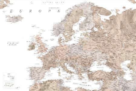 Taupe detailed map of Europe
