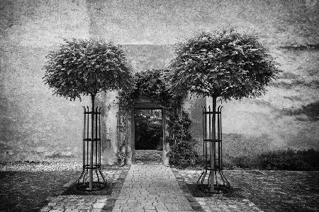 rose garden entrance